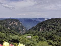 -王莽岭风景区