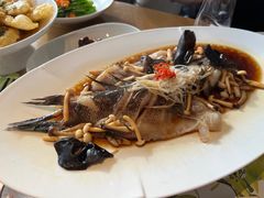 -青梅酒肆PLUS(长白仙岛北路店)