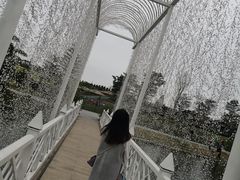 -迪茵湖田家舍生态农场