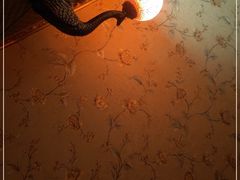 -魔指印象(西藏旗舰店)