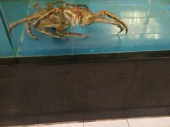 -都市阳光海鲜城(青山湖店)