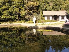 -庐山风景区花径公园