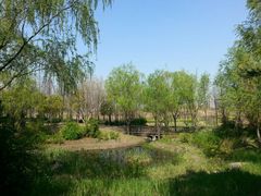 android_upload_pic-新江湾城公园