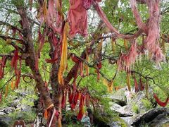 -叠溪松坪沟景区