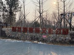 -回龙观体育文化公园