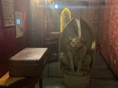 -逃脱反斗城沉浸剧情密室(北京路店)