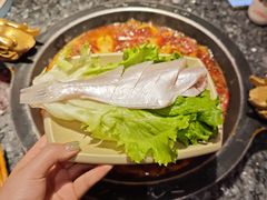 -蜀大侠火锅(总府路店)