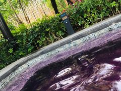 -广州从化都喜泰丽度假温泉酒店