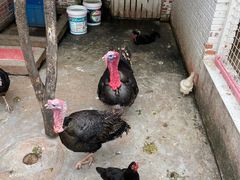 -金庭庄园酒店-停车场