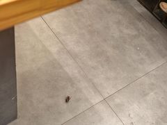 -牛人·雪花牛·木炭烤肉(昆山陆家店)