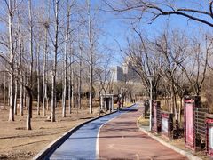 -滨河世纪广场公园