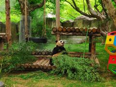 -上海野生动物园