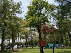-美兰湖景区