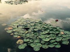 -中关村生命科学园