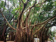 -北海市海滨公园