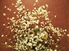 -斯比特花园西餐厅(大丸百货店)
