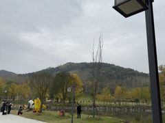 -千年银杏谷文化旅游区