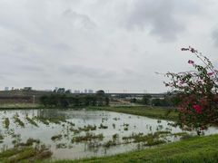-光明小镇欢乐田园