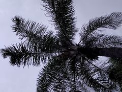 -南宁南湖公园