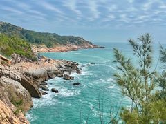 -广东惠东海龟国家级自然保护区