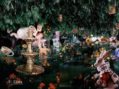 -艾拉私人定制婚礼