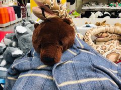 -宜家家居(哈尔滨商场店)