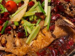 -老板恋上鱼(印象城店)