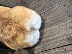 -肥朵食堂(带梦胡同店)