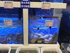 水产区-临海鱼港