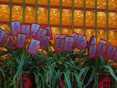 -龙华素斋(龙华路店)