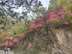 -木兰云雾山