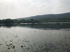 -西湖外事游船(花港观鱼码头)