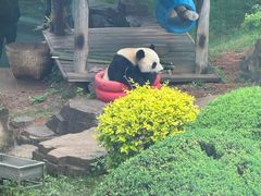 -大连森林动物园