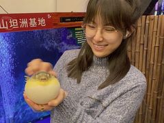 -肆月河豚·新淮扬(金融街店)