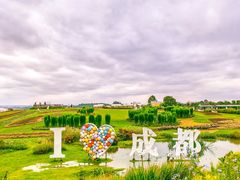-空港花田景区