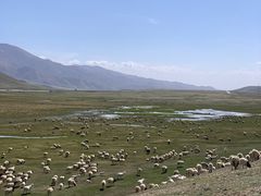 -旺原领头羊餐厅