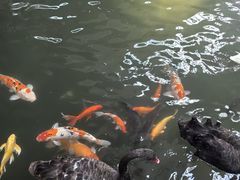 -南宫五洲植物乐园