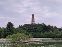-顺峰山公园