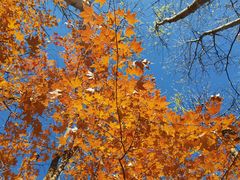 -玉渡山自然风景区