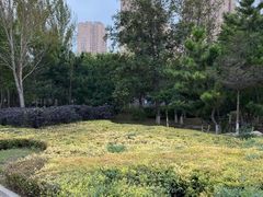 -前关湿地公园