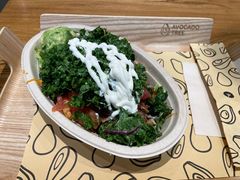 -油梨树 AVOCADO TREE(亮马桥店)