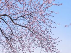 -颐和园