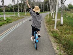 -白鹭湾湿地公园