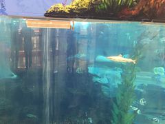 -鸿通城购物中心