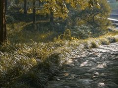 -杭州植物园