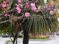 -苏沐堂全息足浴·SPA·按摩(万科美好广场店)