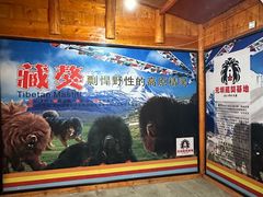 -松州古城