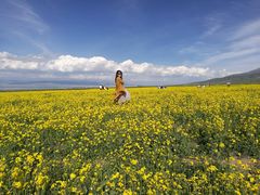 -青海湖国家重点风景名胜区