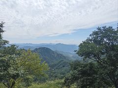 -大岭沟猕猴桃谷风景区