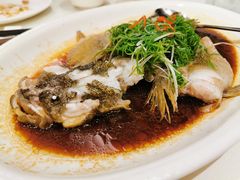 -皇朝尊会(龙之梦大酒店)